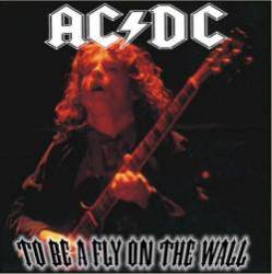 AC-DC : To Be a Fly on the Wall